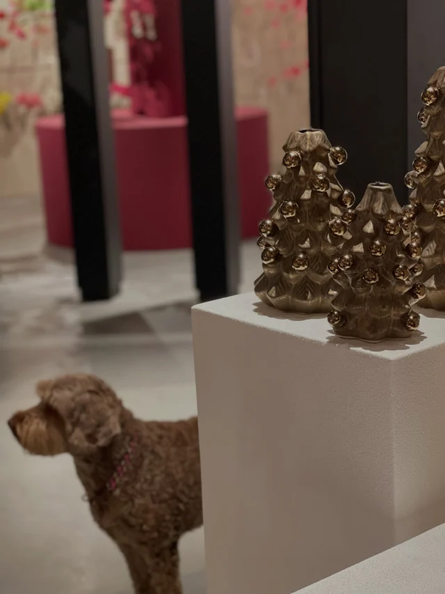 Vandaag op inkoop geweest. We zijn goed geslaagd voor de kerst en ook alvast mooie accessoires gespot voor het voorjaar …