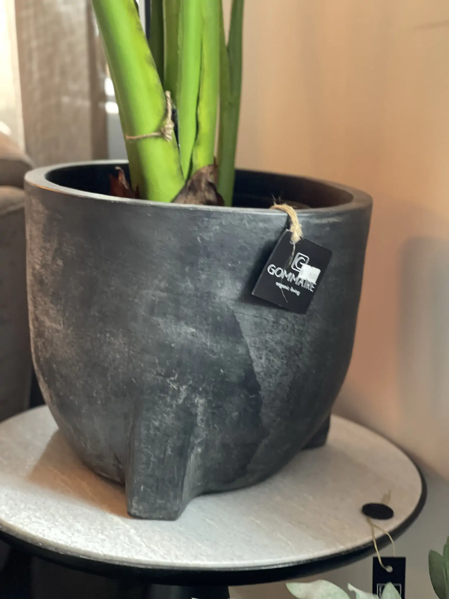 Gommaire pot - Afbeelding 2